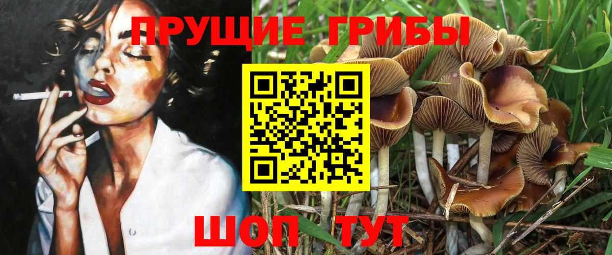 купить закладку  Галлюциногенные грибы Psilocybe  Вход с VPN  Реутов 