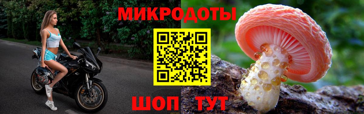 Псилоцибиновые грибы Psilocybe Реутов